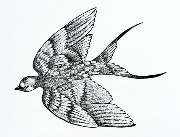 Pen drawing bird by Lianne Landsman