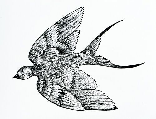 Dessin au stylo d'un oiseau
