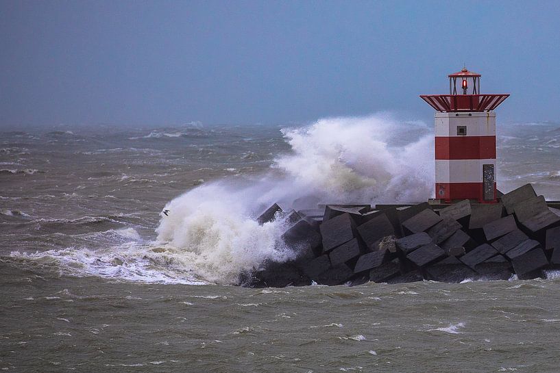 Storm haven Scheveningen von STEVEN VAN DER GEEST