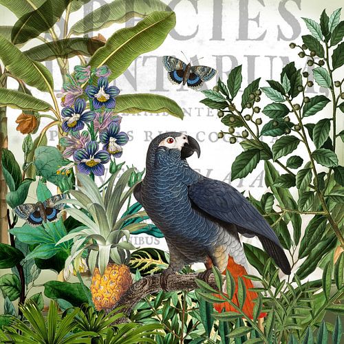 Van verstoppen en vinden