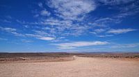Alleen op de weg in de woenstijn van Namibië van Discover Dutch Nature thumbnail