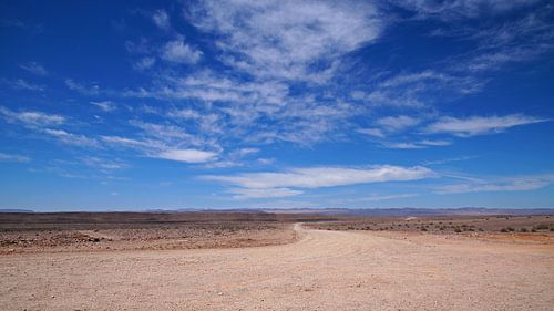 Alleen op de weg in de woenstijn van Namibië