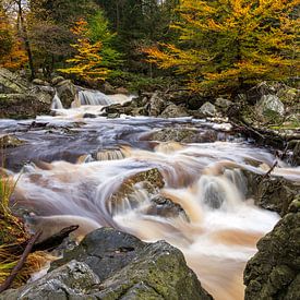 Autumn colours in the Ardennes by Elise van den Boogaart