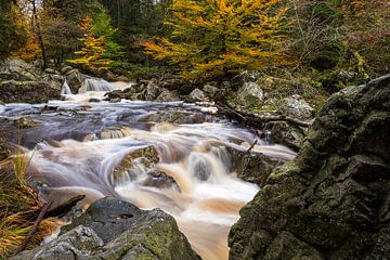 Autumn colours in the Ardennes by Elise van den Boogaart