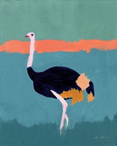Struisvogel, Pamela Munger van Wild Apple
