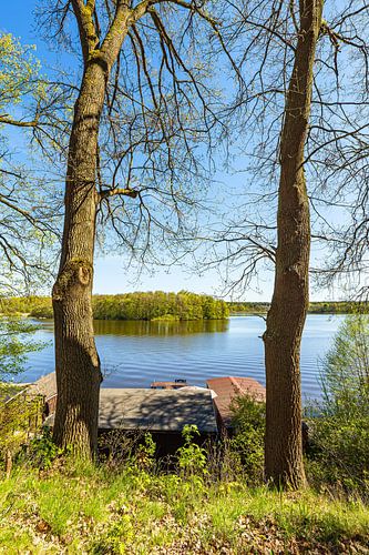 Bäume und Hausdächer am Langhagensee im Frühling in Lärz von Rico Ködder