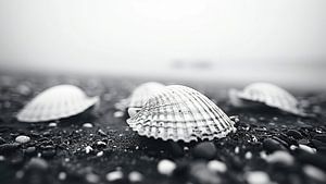 Monochrome Beach Impressions No 1