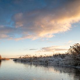 Winterse beelden vanuit de Wieden van Nathalie Scholtens - den Besten