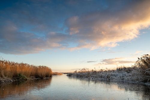 Winterse beelden vanuit de Wieden