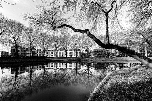 Reflecties van de Catharijnsingel in de Stadsbuitengracht in Utrecht. (zwartwit)