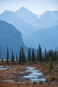 The Icefields Parkway by Robinotof