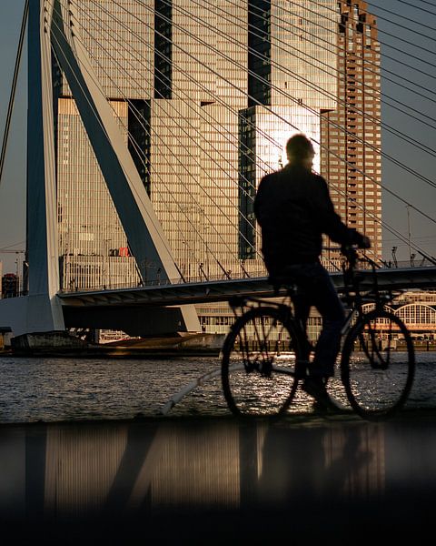 Der Radfahrer von Maarten Hooijmeijer