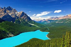Peyto Lake in Banff N.P., Alberta, Kanada