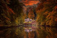 Autumn Vibes van Cristel Brouwer thumbnail