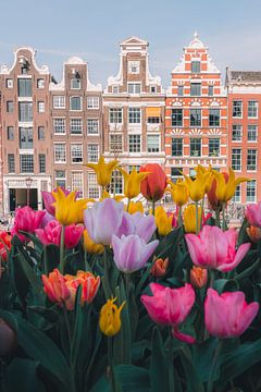Tulipes et maisons sur les canaux à Amsterdam sur Thea.Photo