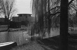 Een wilg aan een meertje von Melvin Meijer