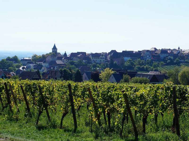 Vosges by Madeltijntje