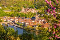 Heidelberg et son château au printemps par Werner Dieterich Aperçu