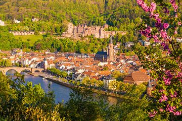 Heidelberg mit dem Schloss im Frühling von Werner Dieterich