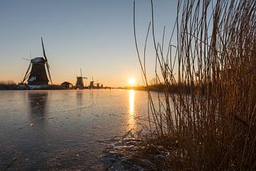 Werelderfgoed Kinderdijk van Sjaak Kooijman