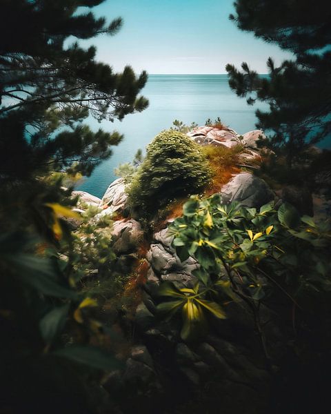 Vue de l'île sur la mer par fernlichtsicht