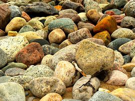 Plage de galets sur l'île de Rugen Allemagne