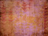 Pink Orange