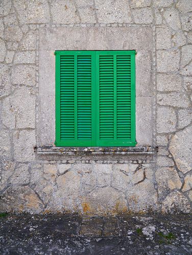 Green hatch on Mallorca | travel photography