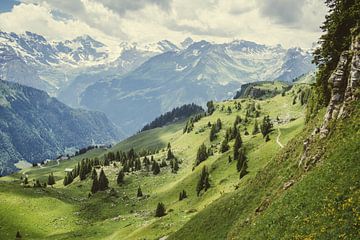 Alpen in het Groen von Patrycja Polechonska