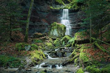 In der Wieslaufschlucht