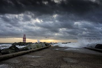 Waves von Rene van Rijswijk