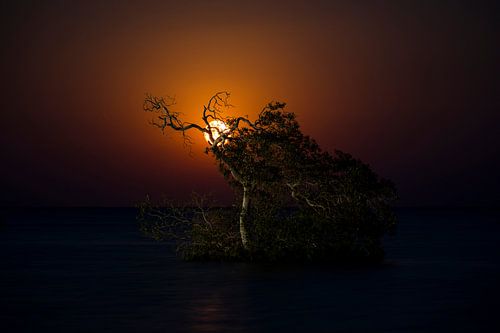 Maan opkomst Egypte, moonrise Egypt 2