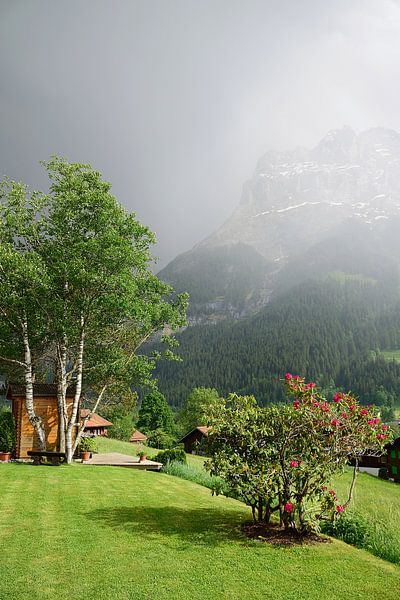 Schwarze Wolken in den Bergen von Frank's Awesome Travels