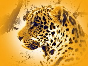 Jaguar 567 thula-art