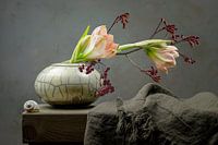 Stilleven Amaryllis