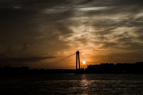 Rotterdam Willemsbrug zonsopgang 