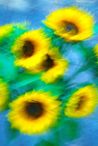 Les tournesols ( alla van Gogh) sur Alex van den Akker