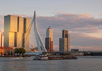 Rotterdam  Skyline van Lizanne van Spanje