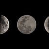 The Moon in Three Phases by MDRN HOME