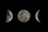 The Moon in Three Phases by MDRN HOME thumbnail