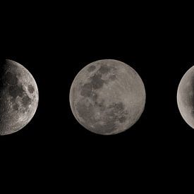 The Moon in Three Phases by MDRN HOME