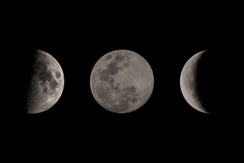 The Moon in Three Phases by MDRN HOME