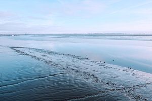 Flusslandschaft
