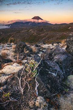 Nieuw-Zeeland Mount Ngaruhoe Alpenglow van Jean Claude Castor