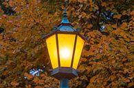 réverbère, lanterne, feuilles d'automne, remparts de Brême, Brême, Allemagne par Torsten Krüger Aperçu