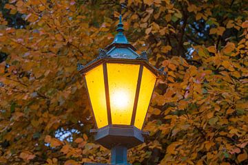 Straßenlaterne, Laterne, Herbstlaub, Bremer Wallanlagen, Bremen, Deutschland