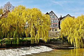 Weeping willows and a half-timbered house on the River Murr in Backnang