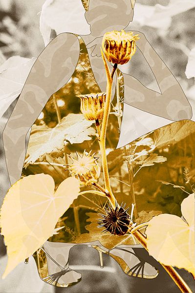 Origami Bloom by True Color Stories