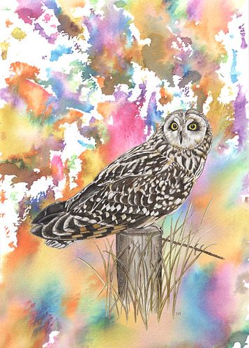 Long-eared owl in a colourful environment