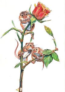 Mäuse auf einer Rose